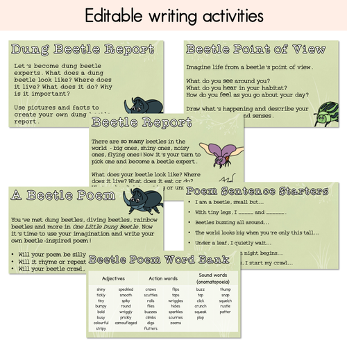 Resource preview 2 for One Little Dung Beetle Writing, Maths & Design Prompt Editable Slides - Book Week 2025