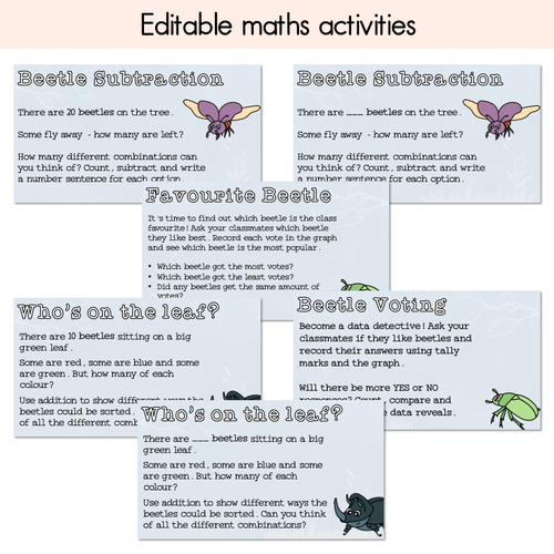 Resource preview 3 for One Little Dung Beetle Writing, Maths & Design Prompt Editable Slides - Book Week 2025