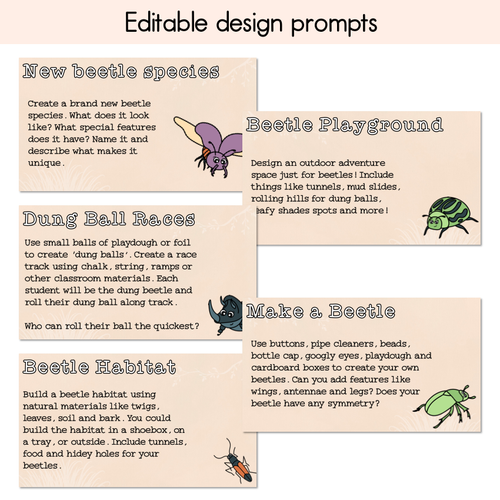 Resource preview 4 for One Little Dung Beetle Writing, Maths & Design Prompt Editable Slides - Book Week 2025