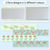 2 for Bulletin Borders - The Brentos Collection