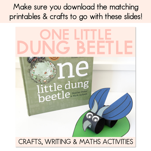 Resource preview 6 for One Little Dung Beetle Writing, Maths & Design Prompt Editable Slides - Book Week 2025