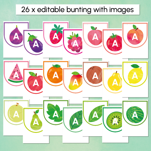 Resource preview 2 for Editable Bunting - The Tutti Frutti Collection - Colourful Classroom Decor