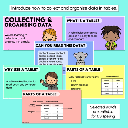 Resource preview 2 for Collecting & Organising Data Using Tables - Digital Slides