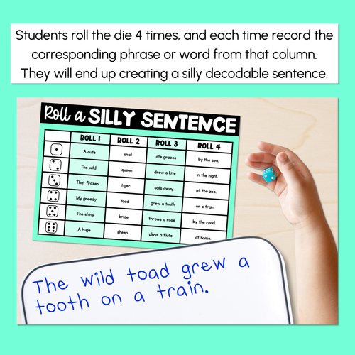 Resource preview 3 for Decodable Sentences with Mixed Long Vowel Sounds - Roll a Silly Sentence Phonics