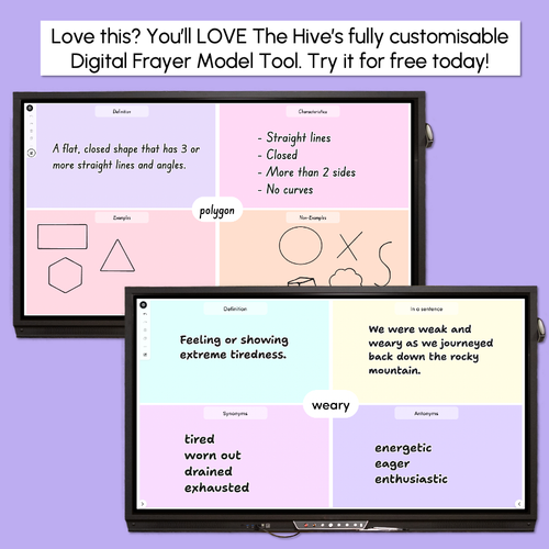 Resource preview 4 for Editable Frayer Model Printable Templates - Rainbow or Black & White