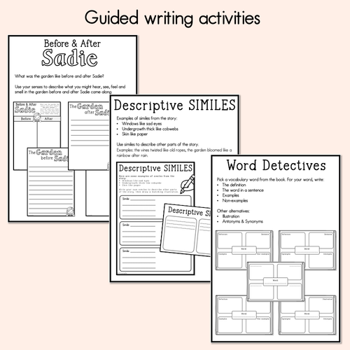 Resource preview 3 for The Garden of Broken Things Printable Pack - Book Week 2025