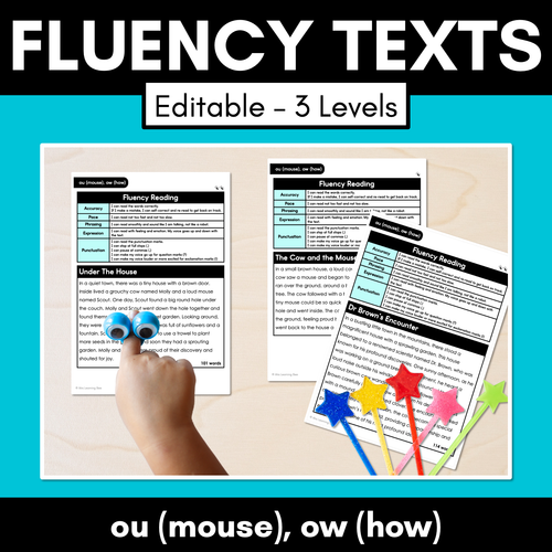 Resource preview 2 for Decodable Fluency Passages - Diphthongs Bundle