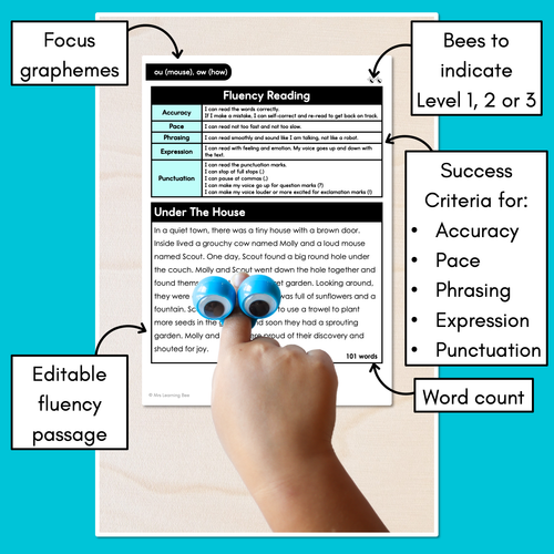 Resource preview 3 for Editable Differentiated Decodable Fluency Texts - ou (mouse), ow (how)