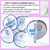 2 for Adverbial Phrase Spinner Craft