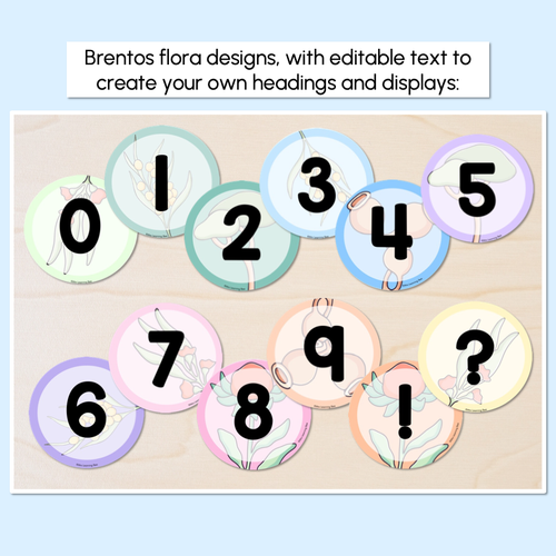 Resource preview 3 for EDITABLE ACCENTS - Alphabet & Numbers - The Brentos Collection