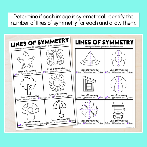 Resource preview 2 for Lines of Symmetry Worksheets
