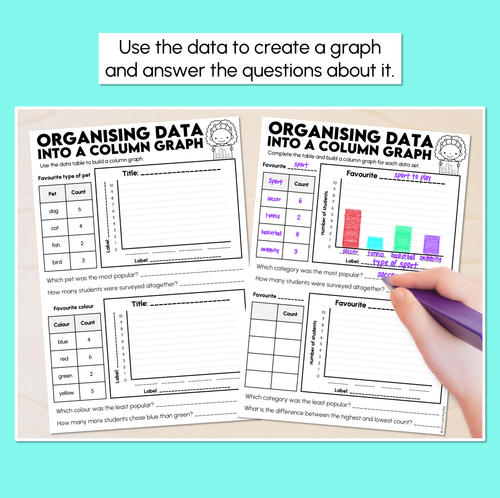 Resource preview 2 for Organising Data Into a Column Graph Worksheets