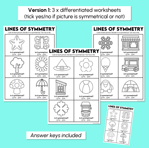 Resource preview 3 for Lines of Symmetry Worksheets