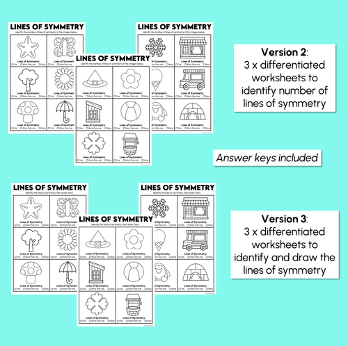 Resource preview 4 for Lines of Symmetry Worksheets