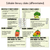 2 for Dear Broccoli Editable Slides - Differentiated Writing, Maths and Design Prompts - Book Week 2026