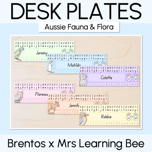 Resource preview 1 for Student Desk Plates / Nametags - The Brentos Collection