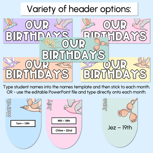 Resource preview 4 for Classroom Birthdays Display - The Brentos Collection