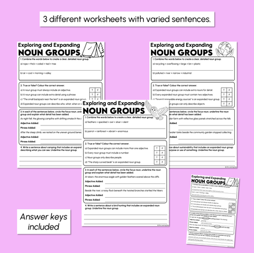 Resource preview 3 for Expanding Noun Groups Worksheets