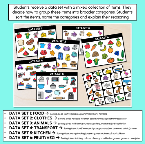 Resource preview 2 for Data Categories Task Cards – Data Sorting Activity