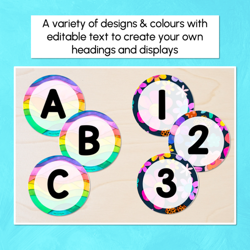 Resource preview 3 for Editable Accents - Alphabet & Numbers - The Kutopia Collection