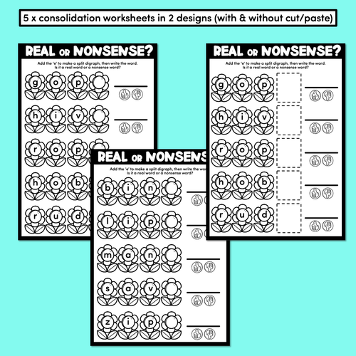 Resource preview 3 for Split Digraph CVCe Word Printable Activities - Real or Nonsense Decodable Words