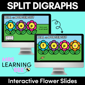 Split Digraphs CVCe Words Interactive Flower Slides