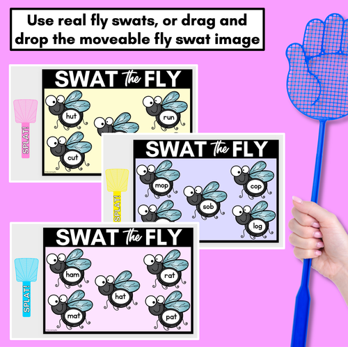 Resource preview 3 for FLY SWAT CVC WORD DIGITAL SLIDES - Set 1 - Kindergarten Phonics Game