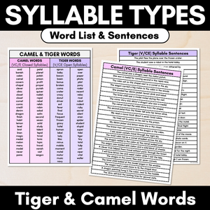 Syllable Pattern Word Lists & Sentences - Camel & Tiger Words