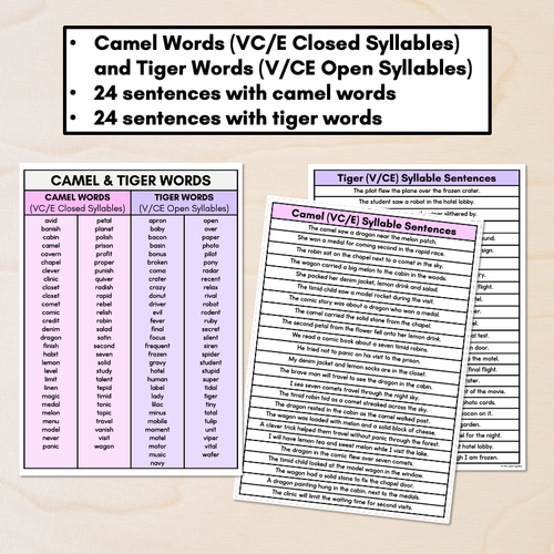 Resource preview 2 for Syllable Pattern Word Lists & Sentences - Camel & Tiger Words