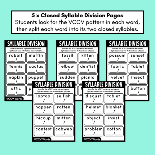 Resource preview 2 for Syllable Division Printables - Closed Syllables - VCCV Pattern Words