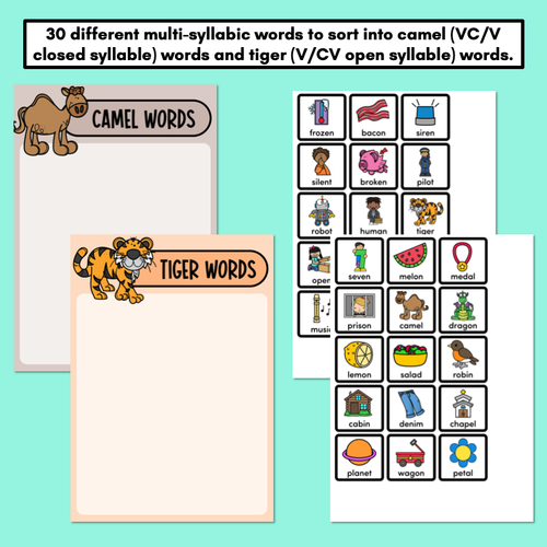 Resource preview 2 for Camel and Tiger Words - Word & Picture Sorts - Open & Closed Syllables