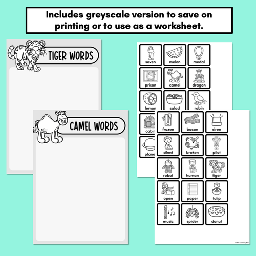 Resource preview 3 for Camel and Tiger Words - Word & Picture Sorts - Open & Closed Syllables