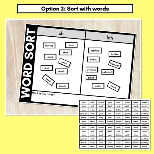 Resource preview 3 for CONSONANT PHONEME CH WORD SORT