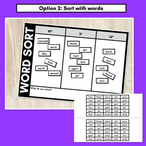 Resource preview 3 for R-CONTROLLED VOWEL ER WORD SORT