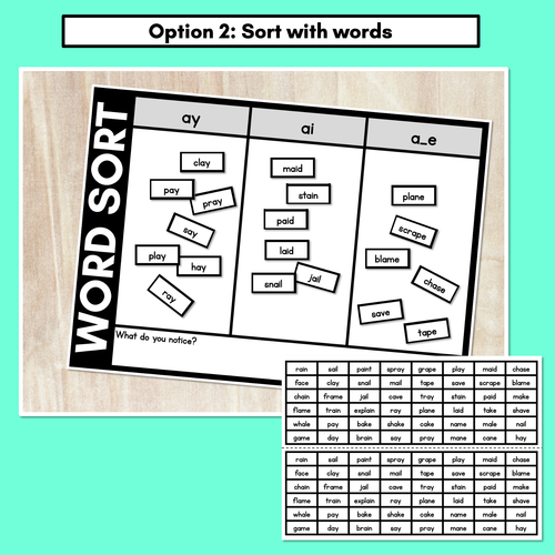 Resource preview 3 for LONG VOWEL A WORD SORT