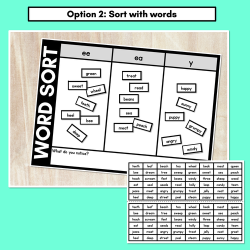 Resource preview 3 for LONG VOWEL E WORD SORT