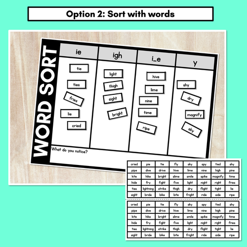 Resource preview 3 for LONG VOWEL I WORD SORT