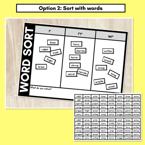 Resource preview 3 for CONSONANT PHONEME R WORD SORT