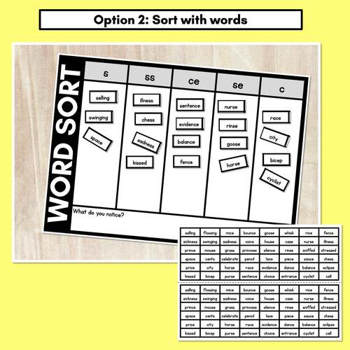 Resource preview 3 for CONSONANT PHONEME S WORD SORT