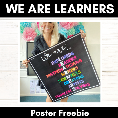 Resource preview 1 for We are Learners Classroom Poster