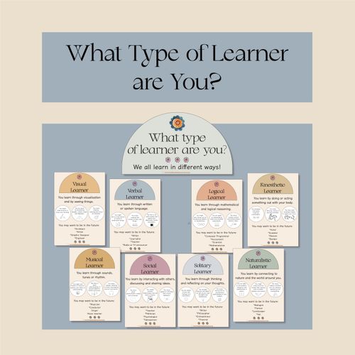 Resource preview 1 for What type of Learner are You? Posters