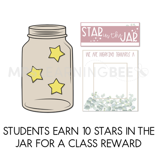 Resource preview 3 for Whole Class Reward - Star in a Jar - Boho Flora