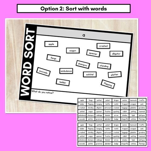 Resource preview 3 for SHORT VOWEL A WORD SORT