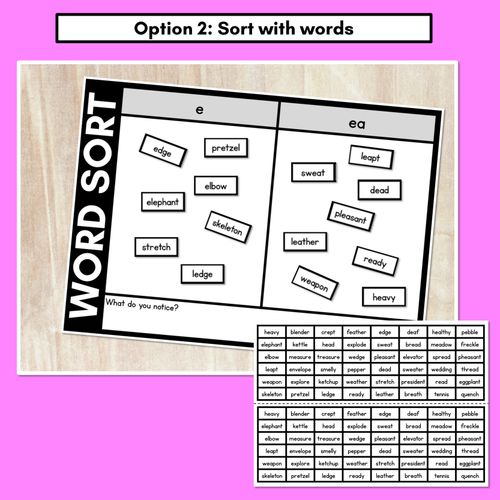 Resource preview 3 for SHORT VOWEL E WORD SORT