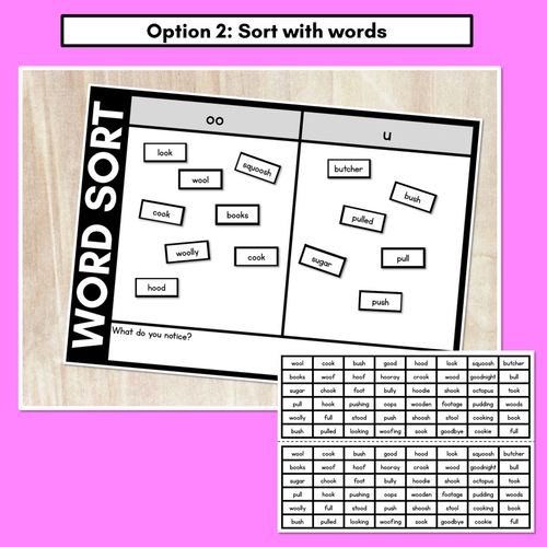 Resource preview 3 for SHORT VOWEL OO WORD SORT