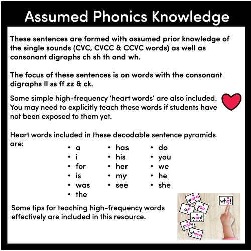 Resource preview 4 for LL SS FF ZZ CK WORDS - Decodable Sentences Pyramids - Phonics Fluency